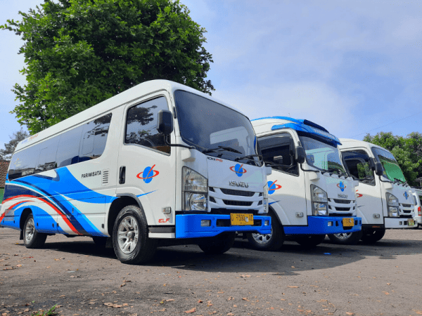 ELF PARIWISATA