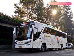 Sewa Bus Bandung 47-50 Seat