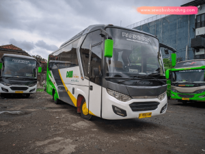 Bus Dem Holiday