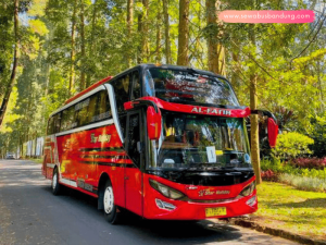 Sewa Bus Grand Starholidays