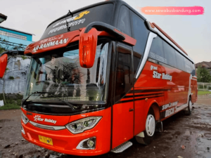 Sewa Bus HDD 50 Seat