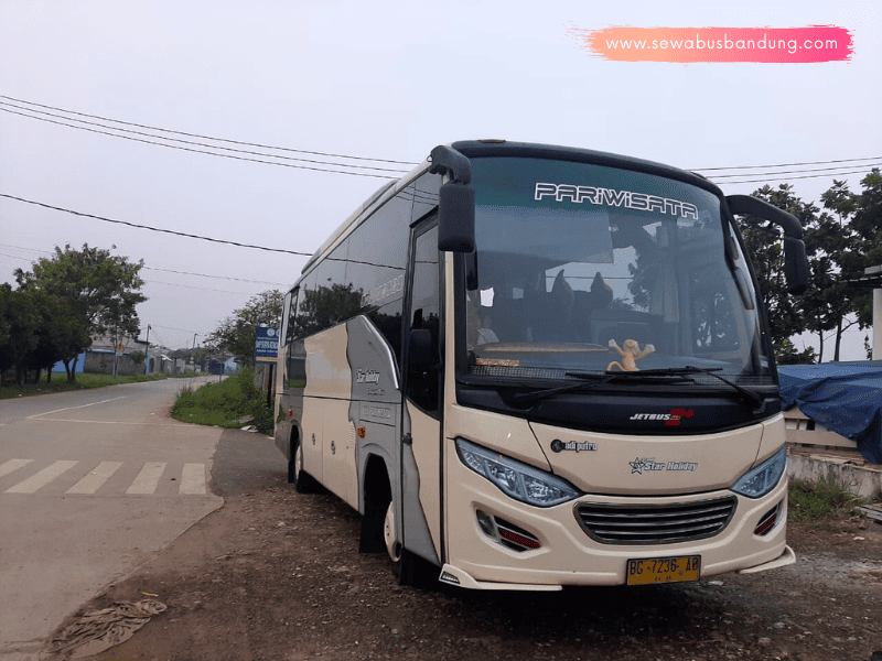 Sewa Bus Medium 31-35 Seat