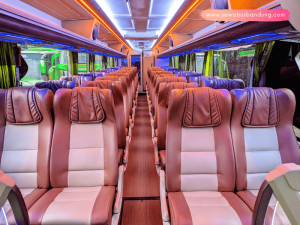 Bus Pariwisata Dem Holiday