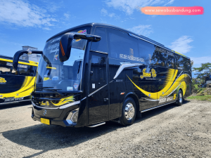 Bus Pariwisata Jamesco