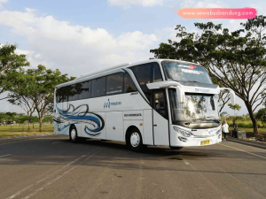 Bus Pariwisata Marjaya Trans