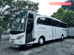 Bus Pariwisata Ness Trans