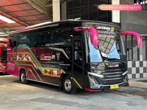 Bus Pariwisata Safana Trans