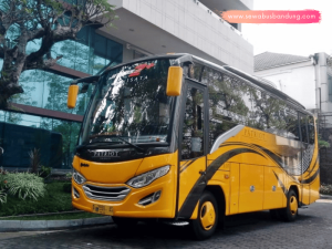 Bus Patriot Pariwisata