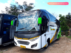 Sewa Bus Medium 31-35 Seat
