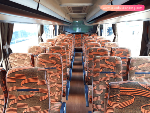 Sewa Bus Pariwisata 31 Seat