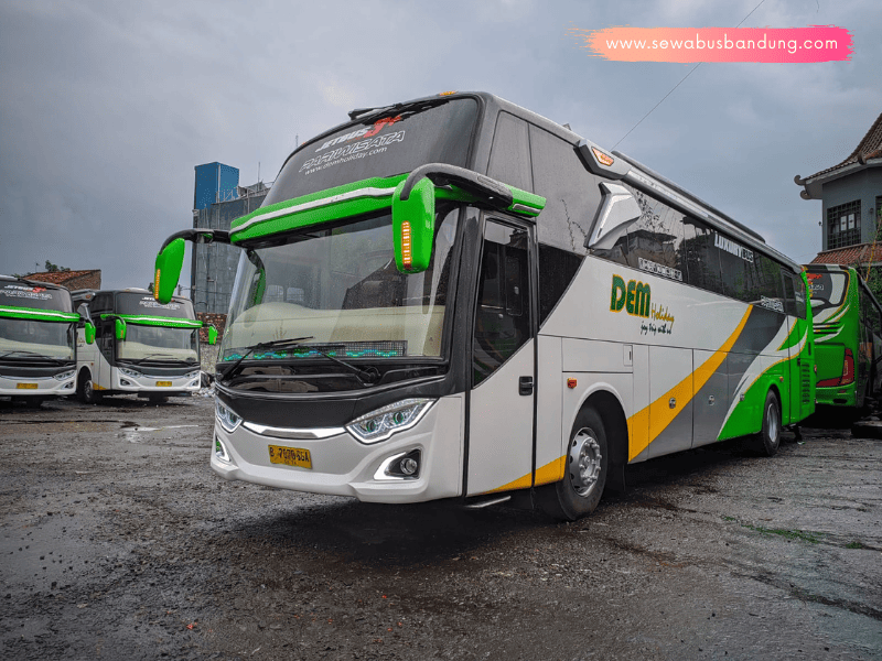 PO Bus Dem Holiday