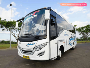 PO Bus Marjaya