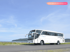 PO Bus Ness Trans
