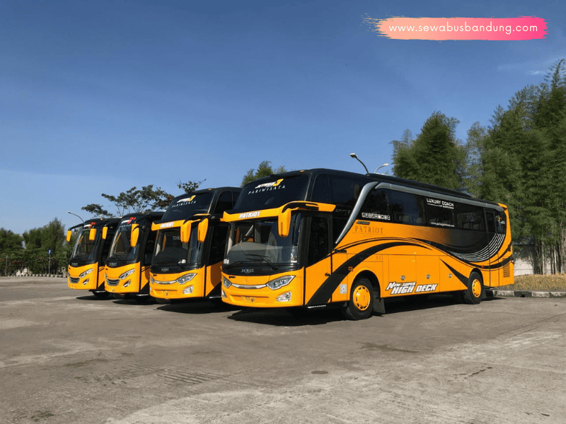 PO Bus Patriot