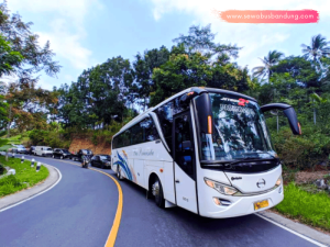 Bus Grand Traveling Indonesia