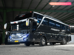 Sewa Bus City Trans Utama