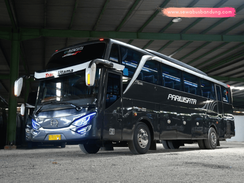 Sewa Bus City Trans Utama