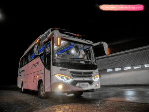 Sewa Bus Ness Trans