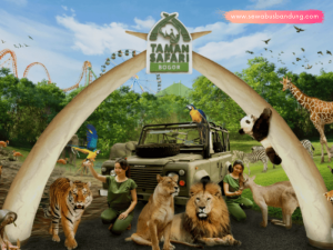 Paket Tour Taman Safari