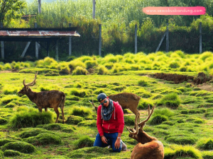 Paket Tour Bandung Ciwidey 1 Hari
