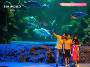 Paket Wisata Seaworld Ancol Dari Bandung