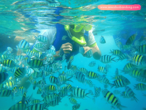 Paket Tour Pulau Pramuka