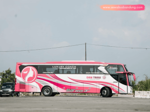 Bus Pariwisata Drw